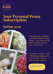 Weekly WOW Peony Subscription