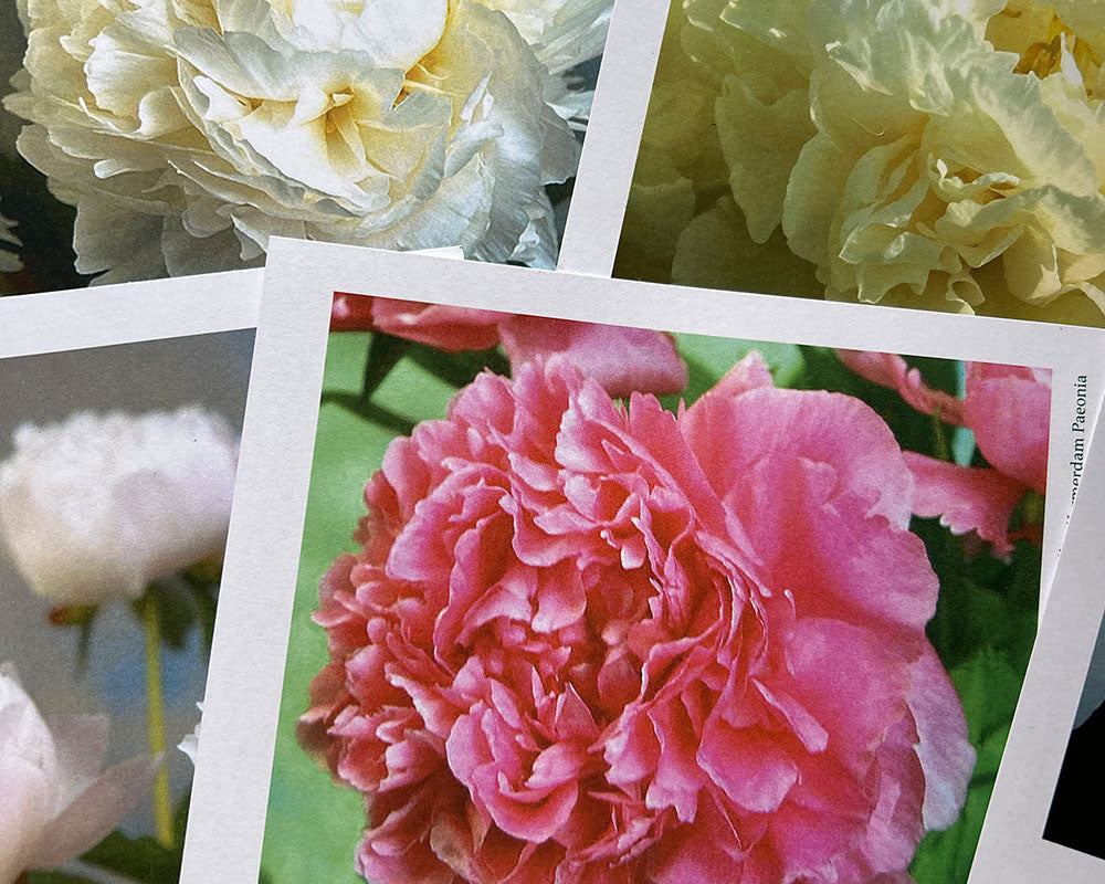 Weekly-Wow_Peonies-Menu.jpg