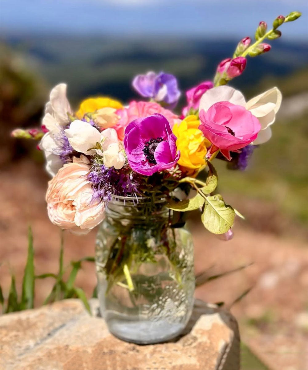 Seasonal Arrangements