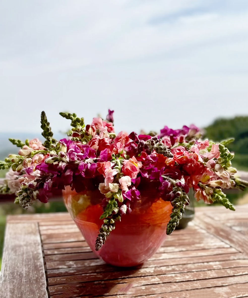 Grown in Algarve
